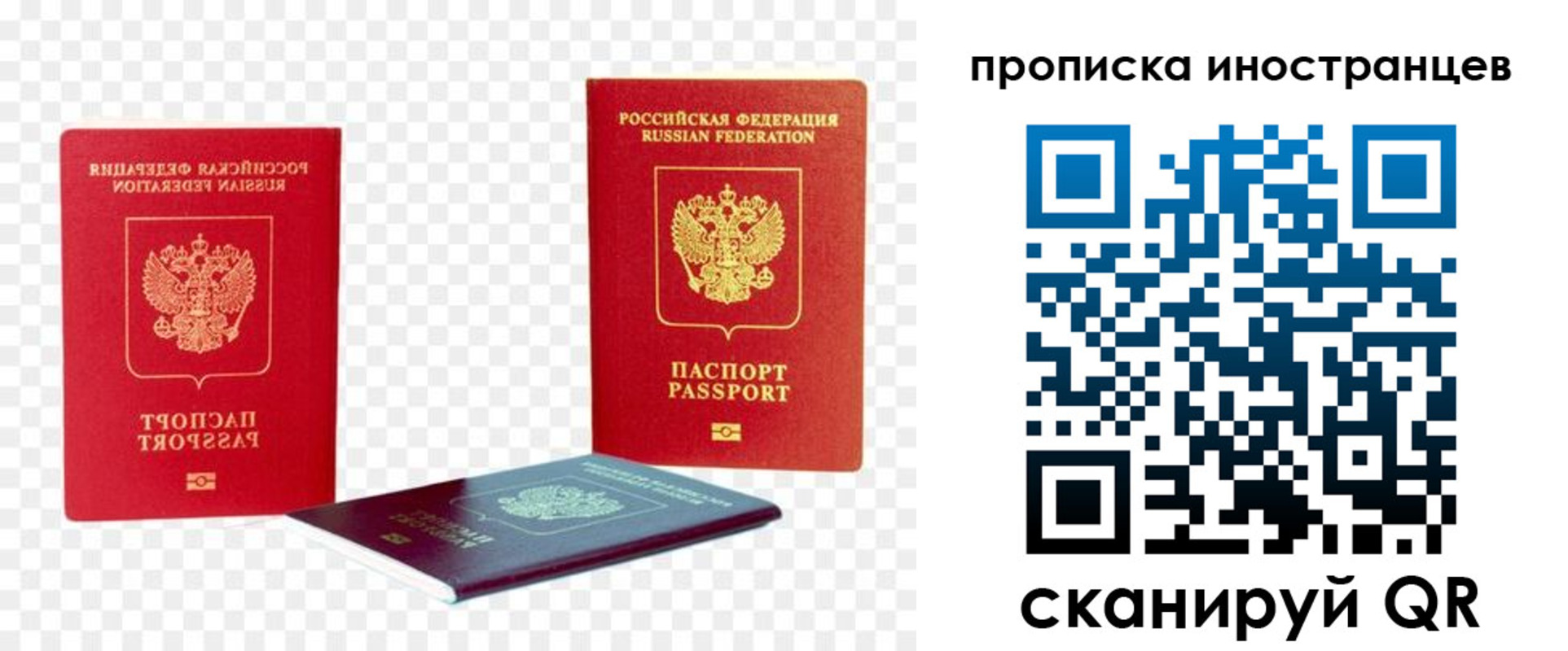 прописка для работы в Лосино-Петровском